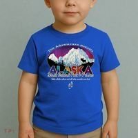 Denali Alaska Aurora Borealis National Park Hiker Souvenir Cute Gift Toddler T-Shirt thumb 2