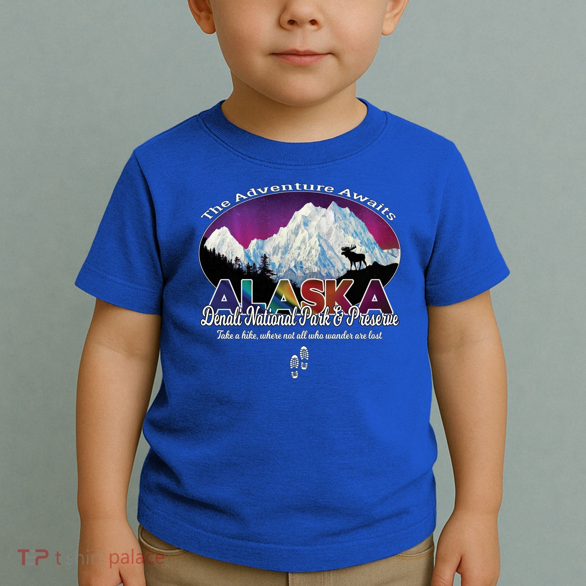 Denali Alaska Aurora Borealis National Park Hiker Souvenir Cute Gift Toddler T-Shirt
