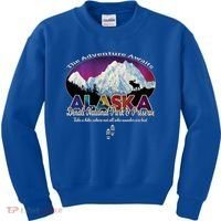 Denali Alaska Aurora Borealis National Park Hiker Souvenir Cute Gift Kids Sweatshirt thumb 0