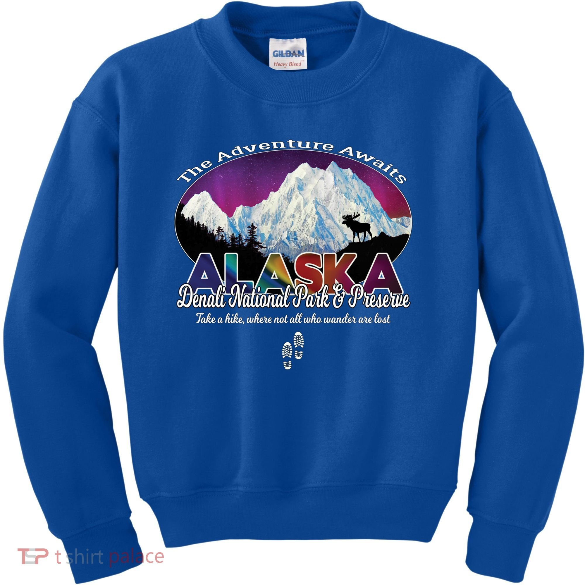 Denali Alaska Aurora Borealis National Park Hiker Souvenir Cute Gift Kids Sweatshirt