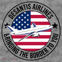 Desantis Airlines American Flag Political Sweatshirt thumb 3