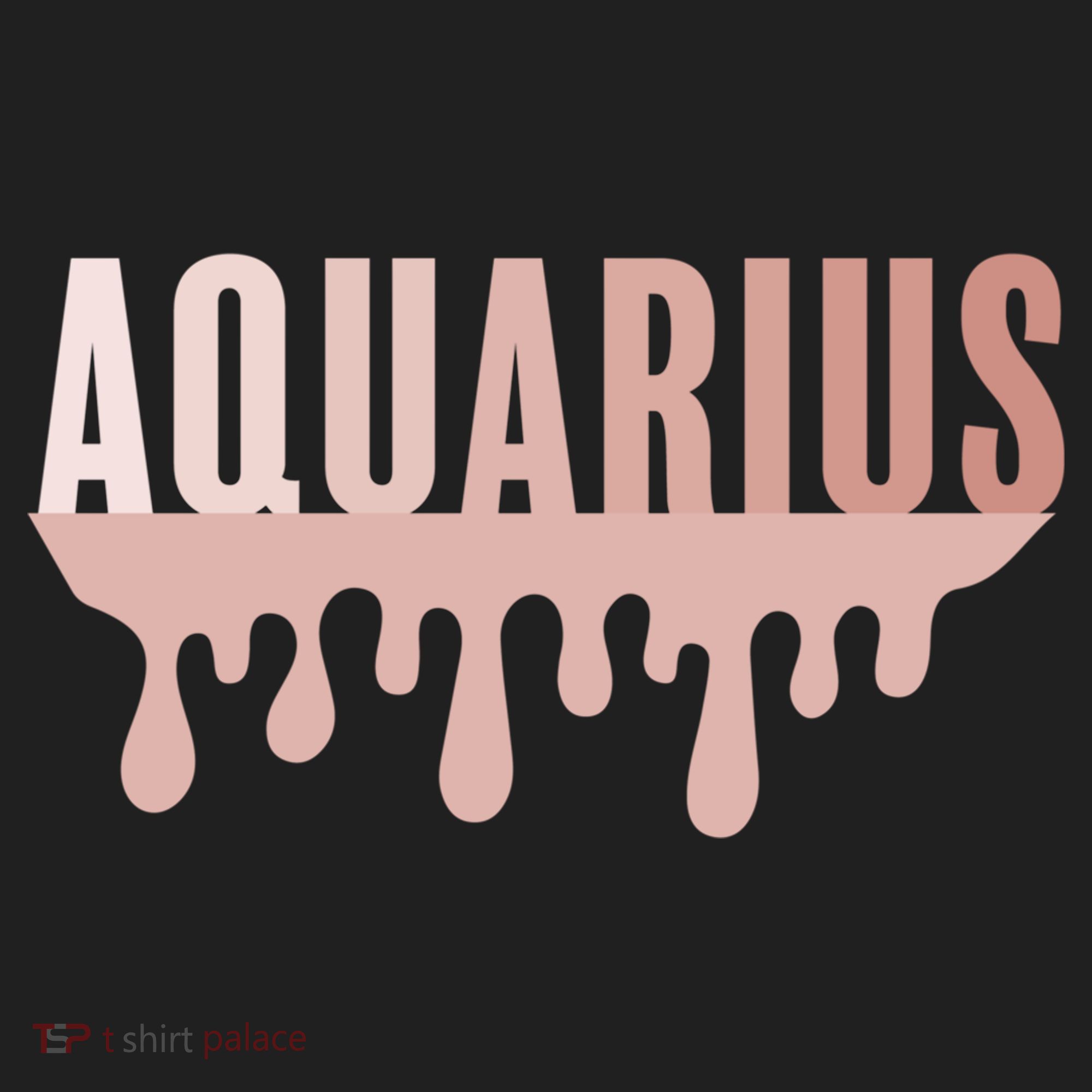 Dripping Astrology Aquarius Gift Hat