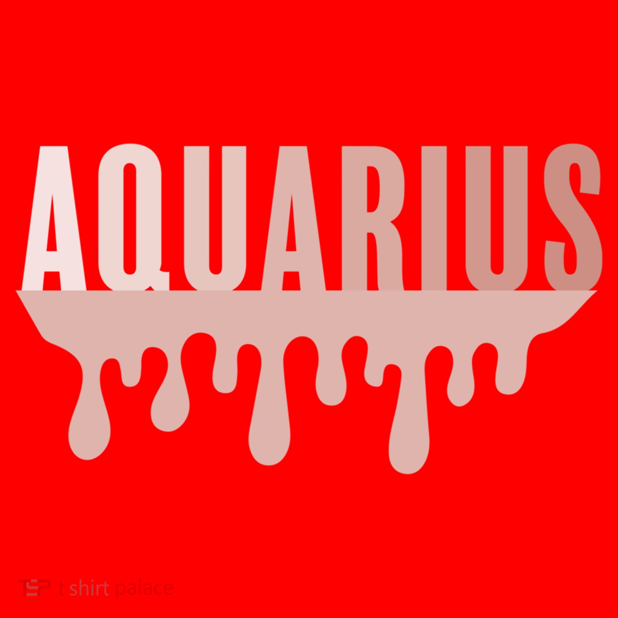 Dripping Astrology Aquarius Gift Santa Hat