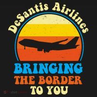 Desantis Airlines Brining The Boarder To You Funny Political Women's Hoodie thumb 2
