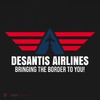 Desantis Airlines Bringing The Boarder To You Political Toddler Hoodie thumb 2