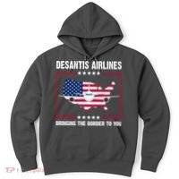 Desantis Airlines Brining The Border To You American Flag Hoodie thumb 0