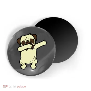 Magnet