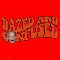 Dazed And Confused Funny Joe Biden Retro Santa Hat thumb 1