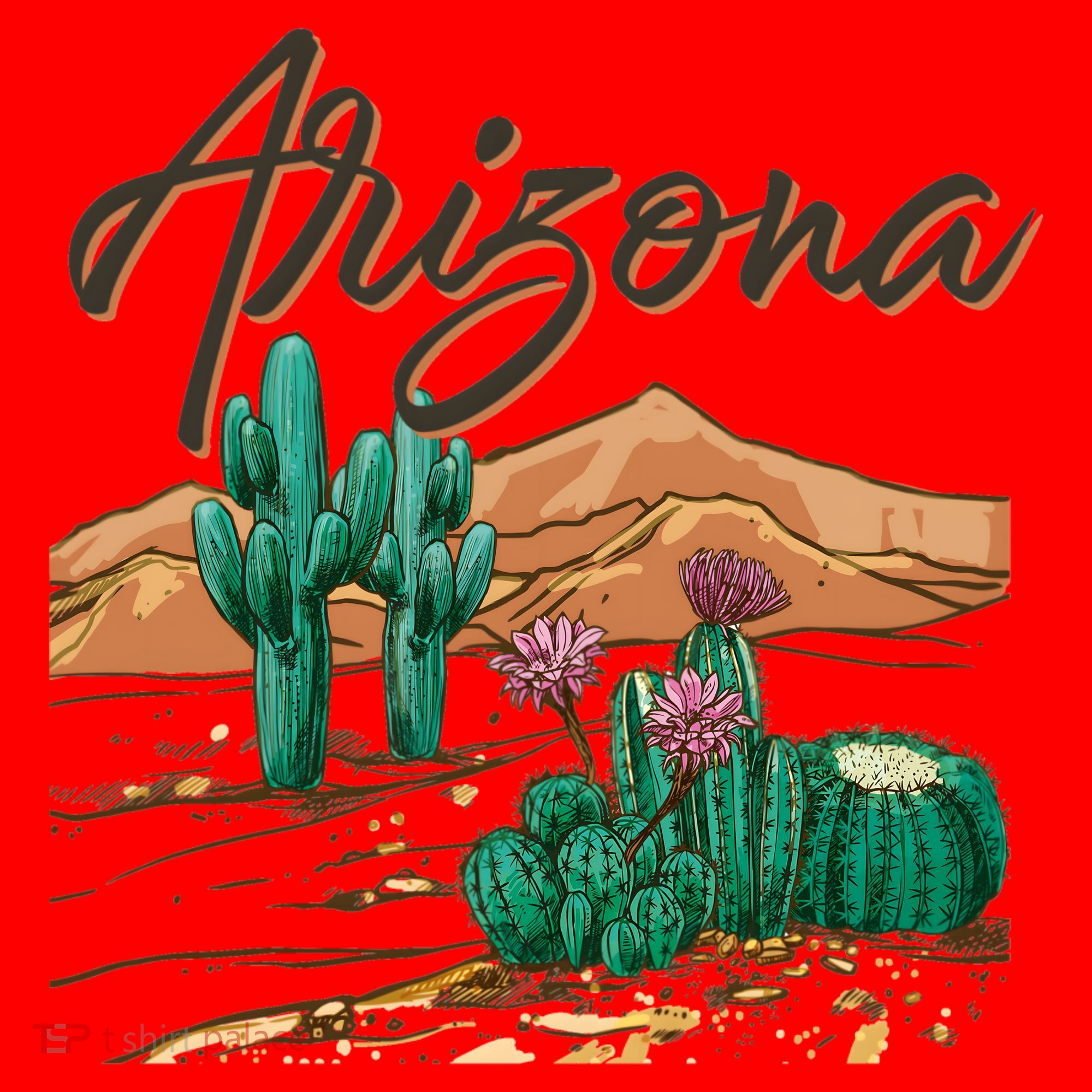 Desert Arizona Cactus Southwestern Santa Hat