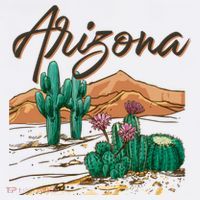 Desert Arizona Cactus Southwestern Hoodie thumb 7