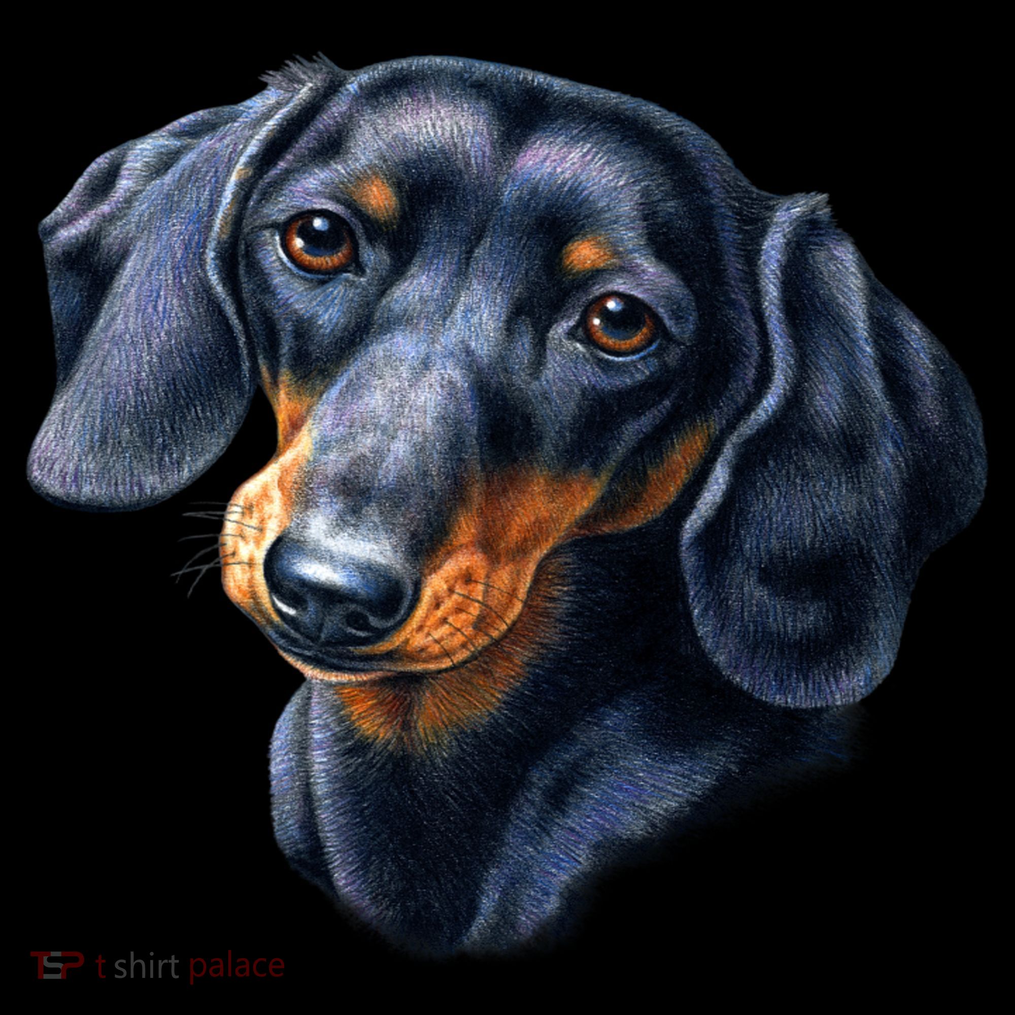 Dachshund Face Coffee Mug