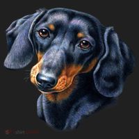 Dachshund Face Tumbler thumb 3