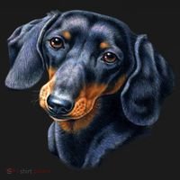 Dachshund Face Ornament thumb 1