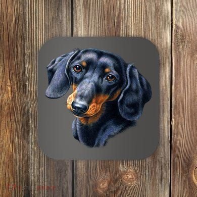 Dachshund Face Coaster