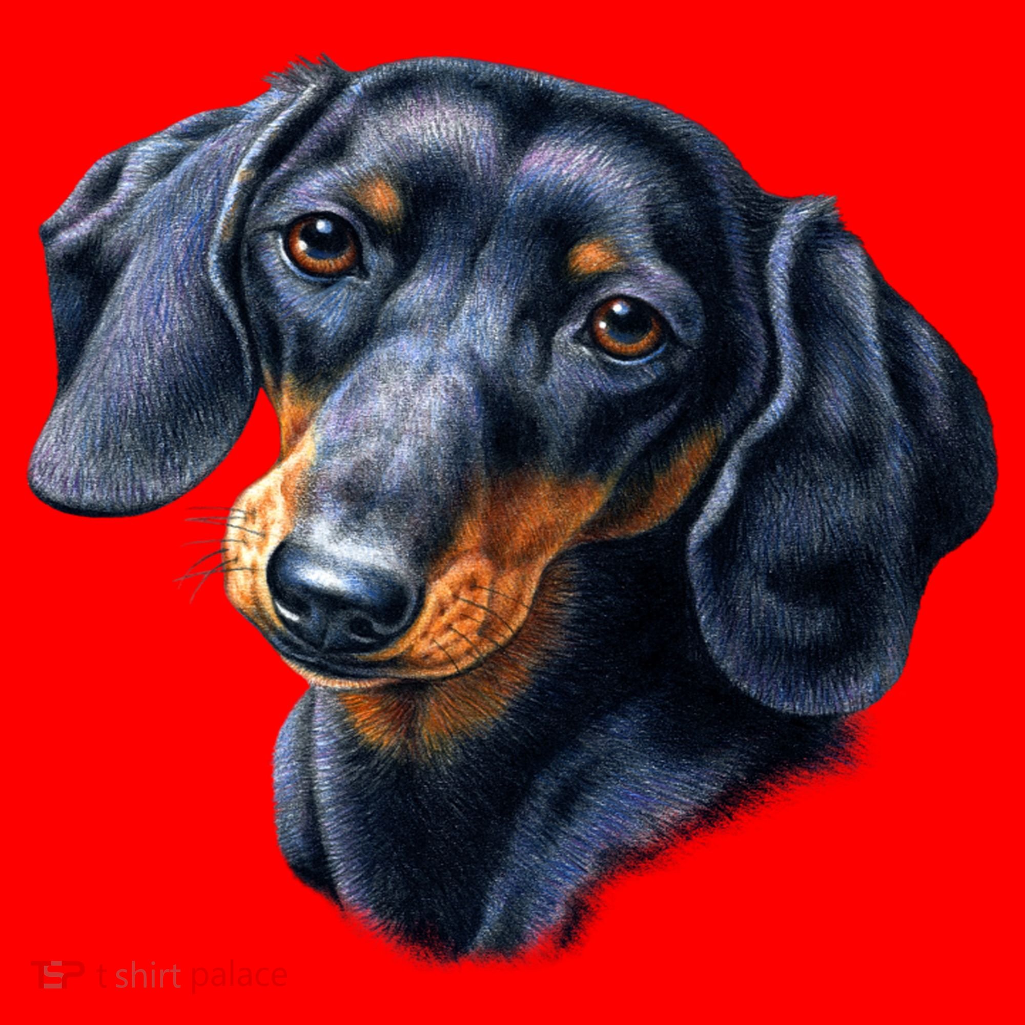 Dachshund Face Santa Hat