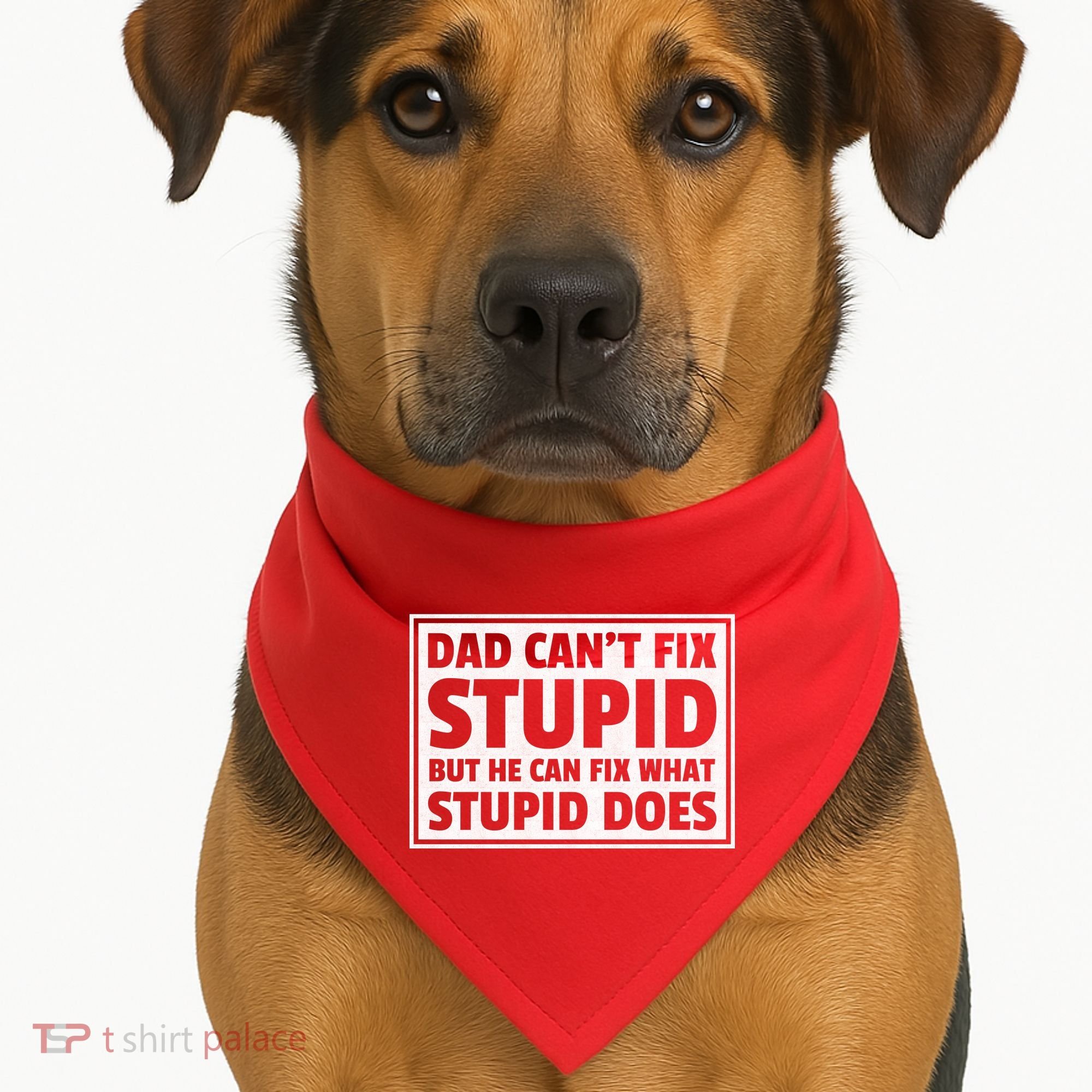 Dad Can't Fit Stupid But He Can What Stupid Does USA-Made Doggie Bandana