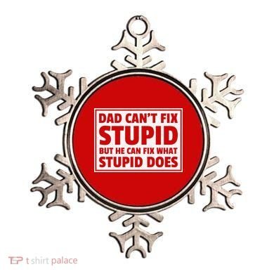 Dad Can't Fit Stupid But He Can What Stupid Does Ornament