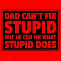Dad Can't Fit Stupid But He Can What Stupid Does Santa Hat thumb 1