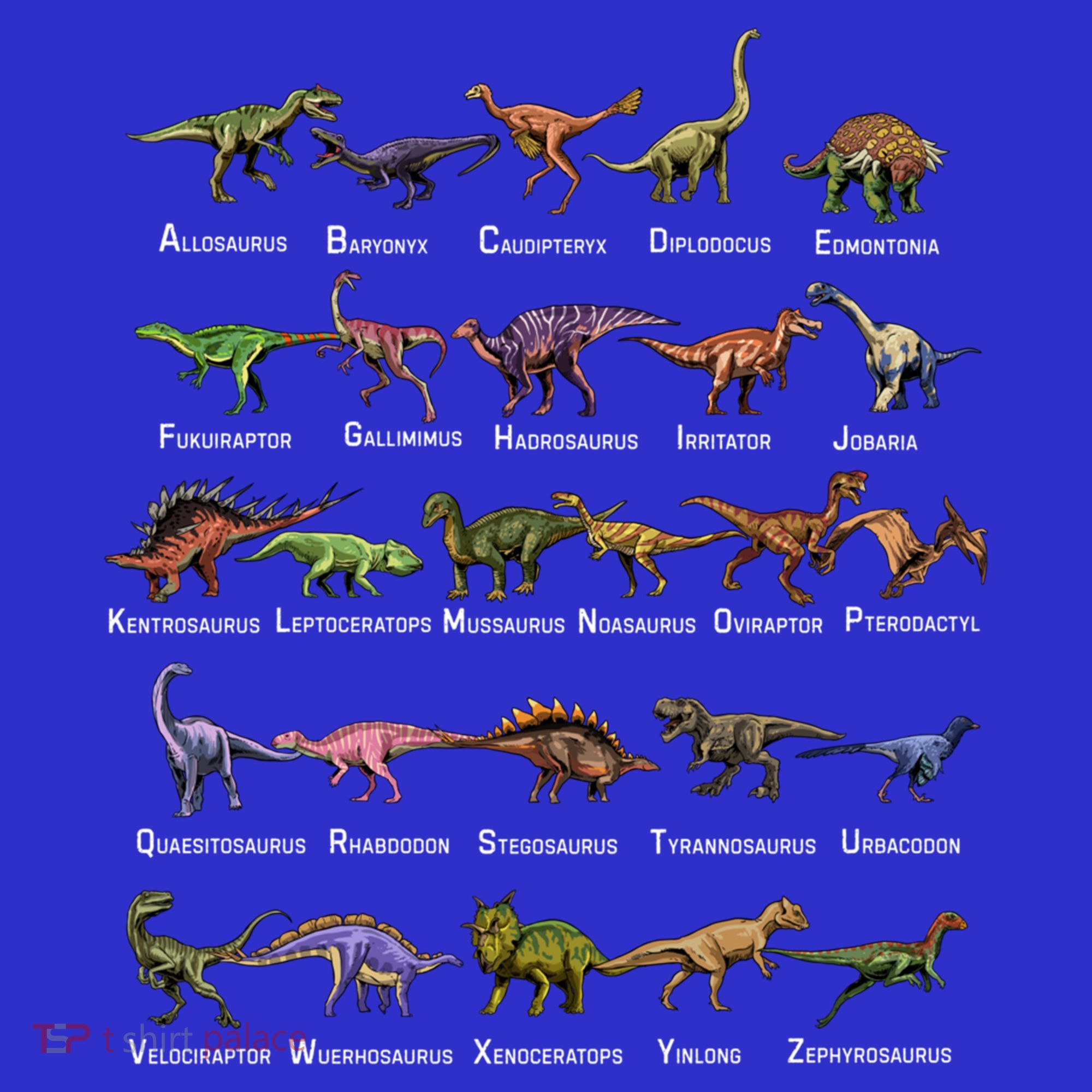 Dinosaur Alphabet Dino Pre Historic Animal Dinosaur Lover Gift Women's Tank Top