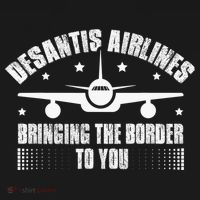 Desantis Airlines Distress Flag Bringing The Border To You Women's Hoodie thumb 2
