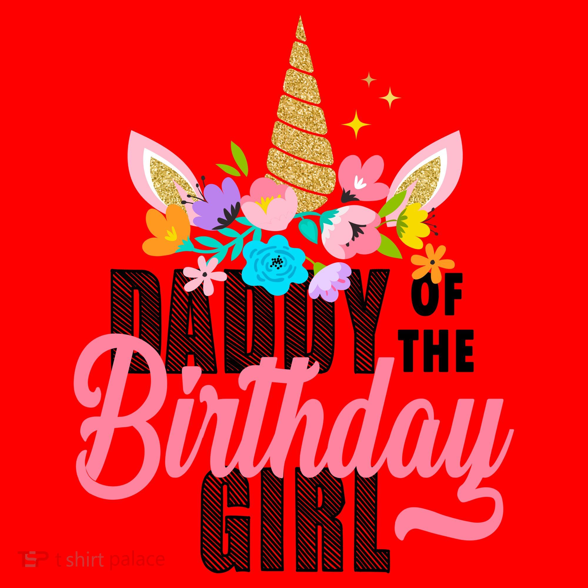 Daddy Of The Birthday Girl Santa Hat