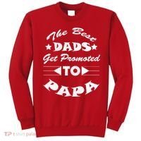 Dads Get Promoted To Papa Funny Father's Day Sweatshirt thumb 0