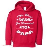 Dads Get Promoted To Papa Funny Father's Day Toddler Hoodie thumb 0