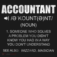 Definition Accountant Funny CPA Gift Taxation Audit Taxes Ornament thumb 1