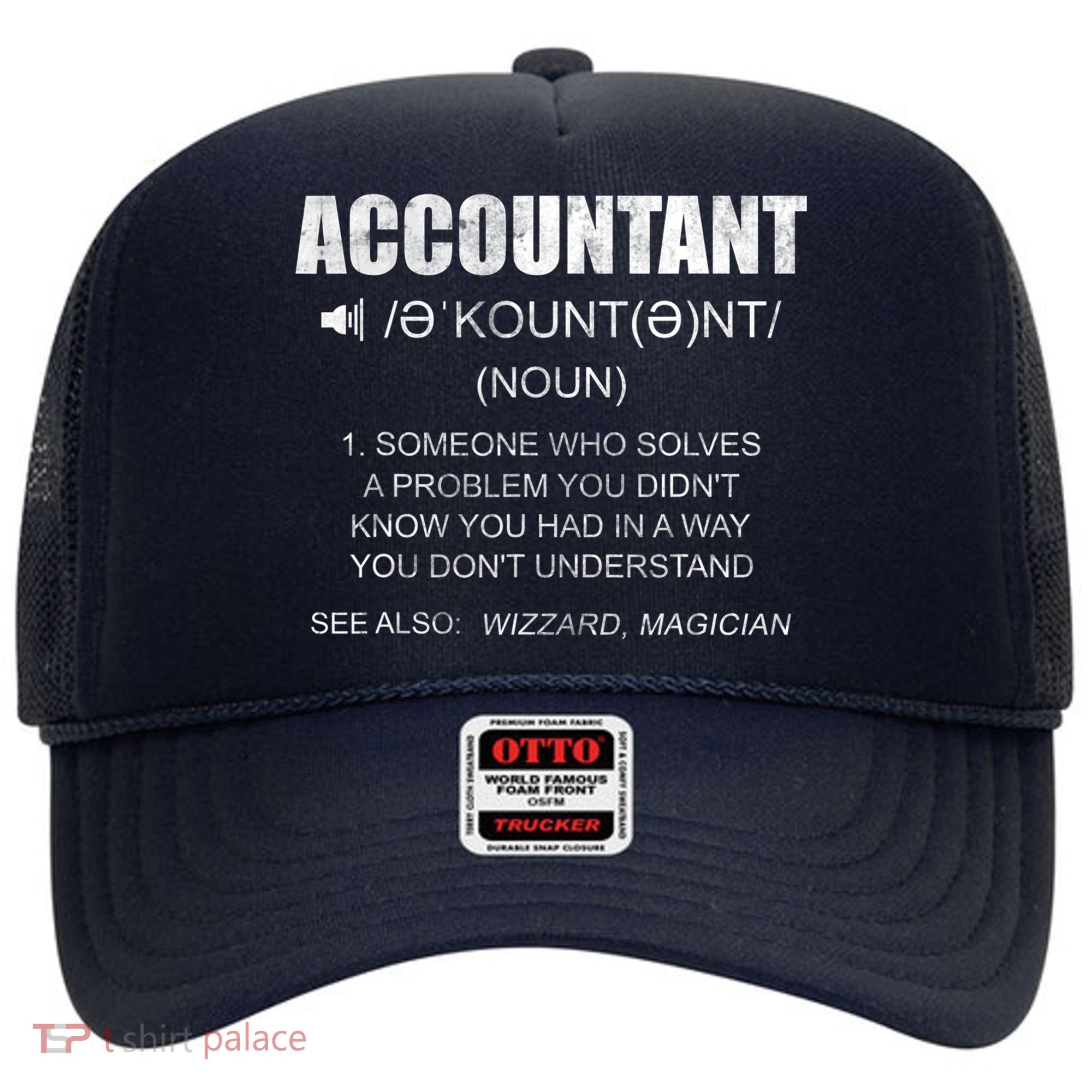 Definition Accountant Funny CPA Gift Taxation Audit Taxes Hat