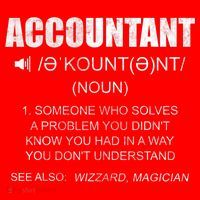 Definition Accountant Funny CPA Gift Taxation Audit Taxes Santa Hat thumb 1