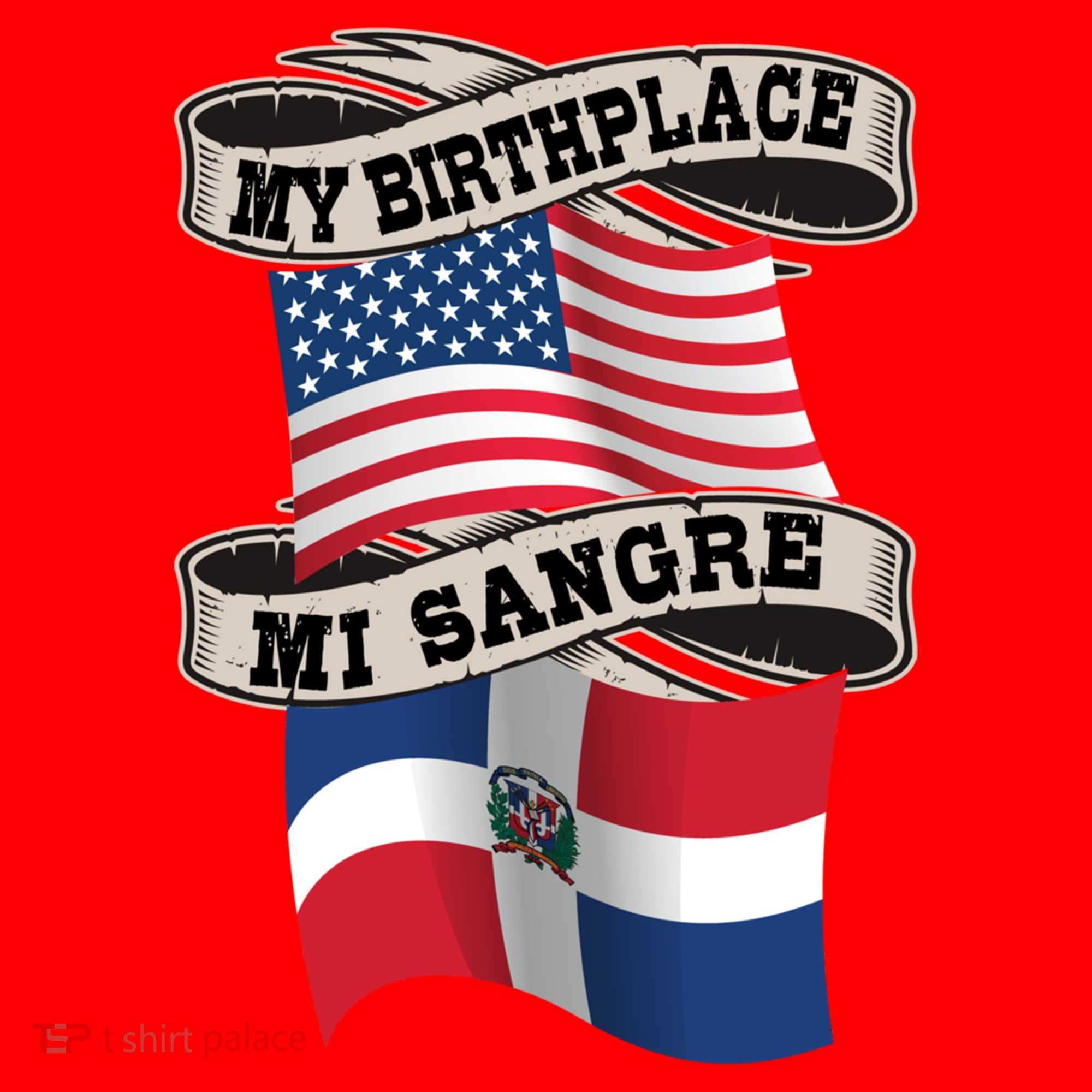 Dominican American Flag Half American Half Dominican Roots Gift Santa Hat
