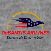 DeSantis Airlines Funny Political Meme Ron DeSantis Toddler Hoodie thumb 2