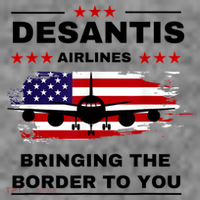 DeSantis Airlines Funny Political Meme Ron DeSantis USA Flag Toddler Hoodie thumb 2