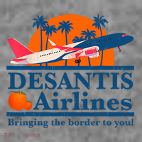 Desantis Airlines Funny Political Meme Ron Desantis Governor Toddler Hoodie thumb 2
