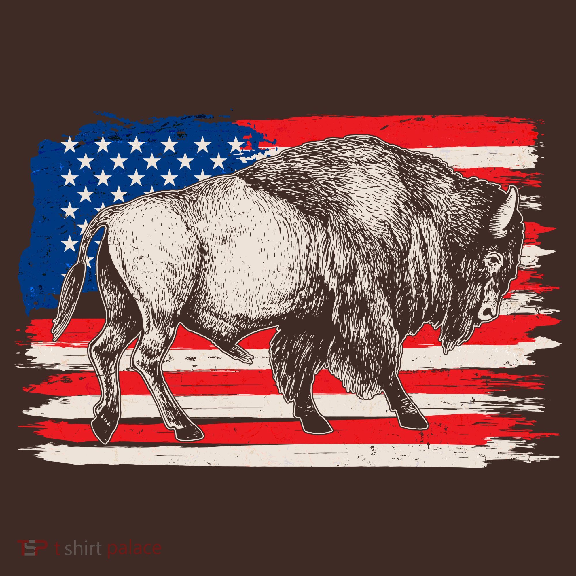 Distress American Flag Vintage Buffalo T-Shirt