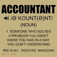 Definition Accountant Funny CPA Gift Taxation Audit Taxes T-Shirt thumb 7