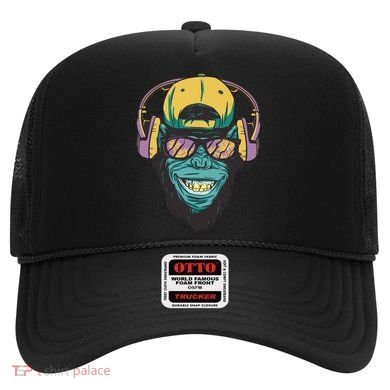 DJ Ape Headphones Hat