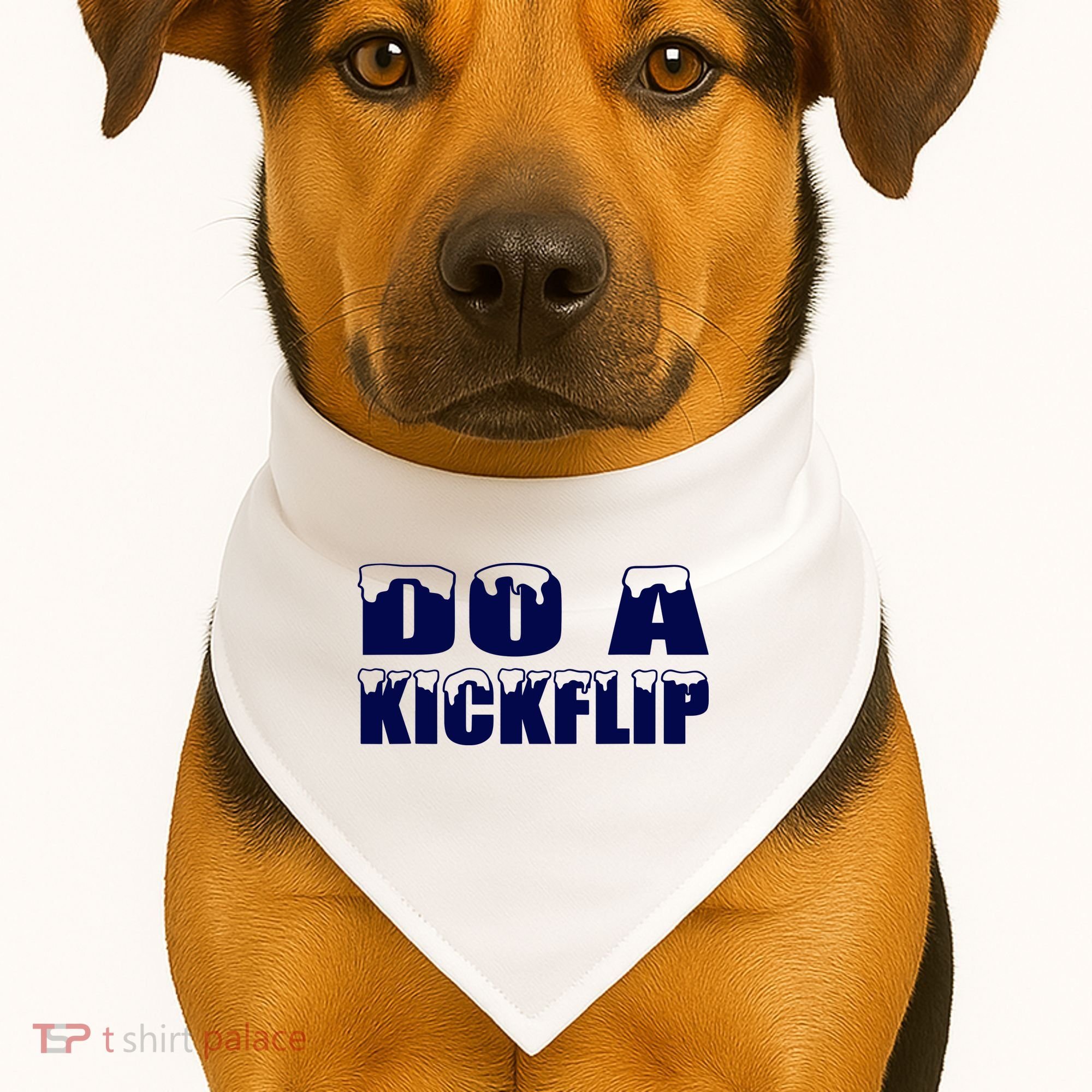Do A Kickflip Ice And Snow Do A Kickflip For Men Women USA-Made Doggie Bandana