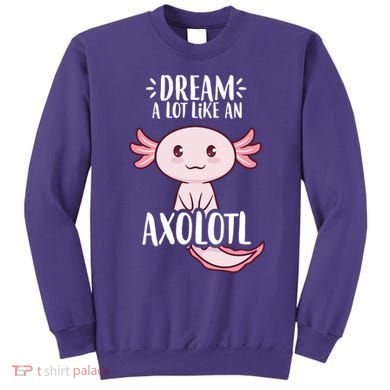 Dream A Lot Like An Axolotl Sweatshirt