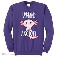 Dream A Lot Like An Axolotl Sweatshirt thumb 0