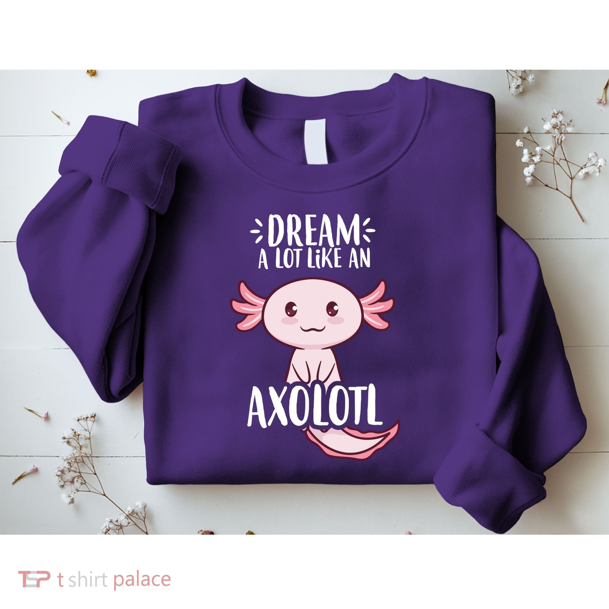 Dream A Lot Like An Axolotl Sweatshirt
