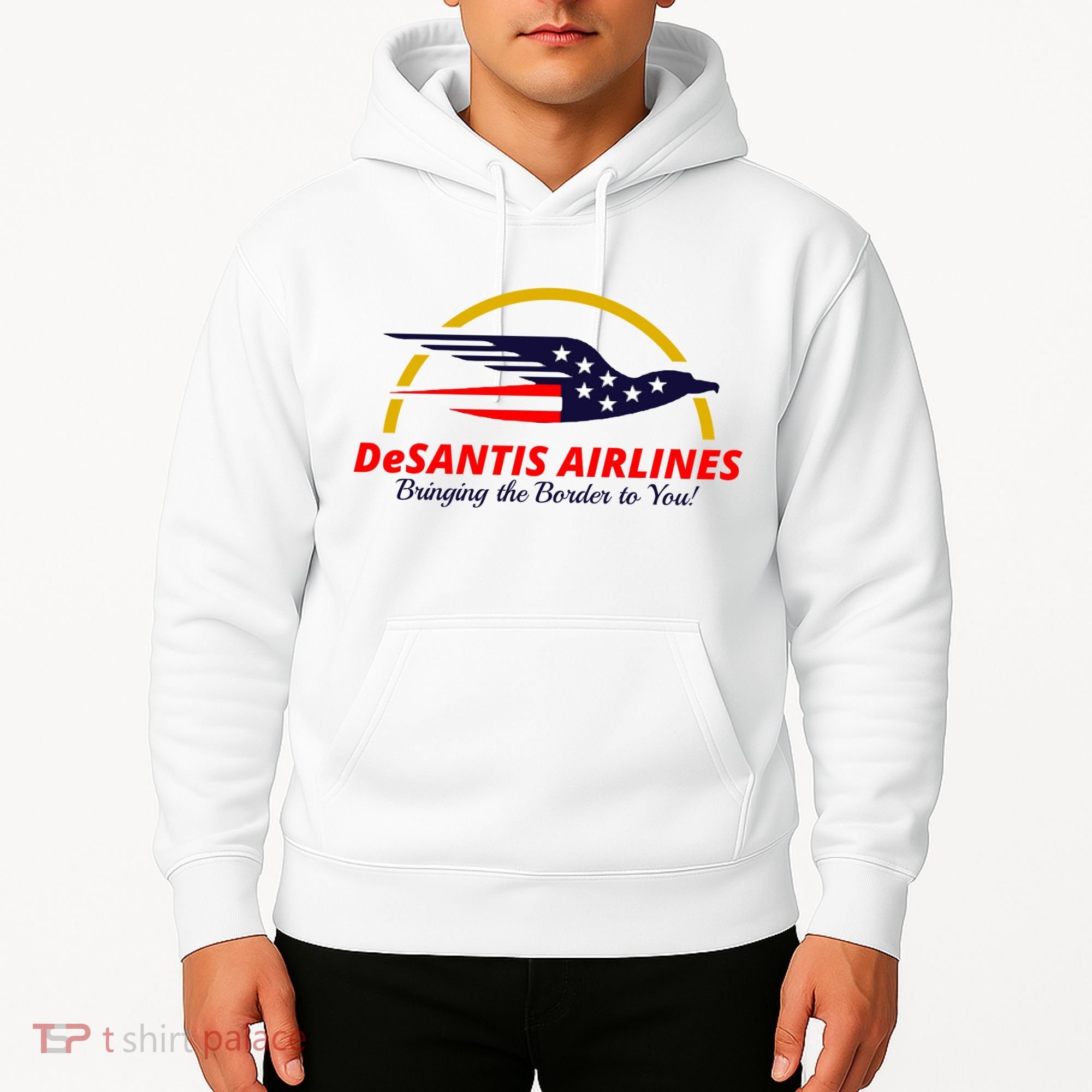 DeSantis Airlines Logo Hoodie