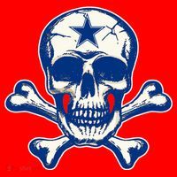 Dallas Skull Crossbones Star Fan Pride Santa Hat thumb 1