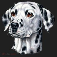 Dalmatian Face Women's Sweatshirt thumb 2