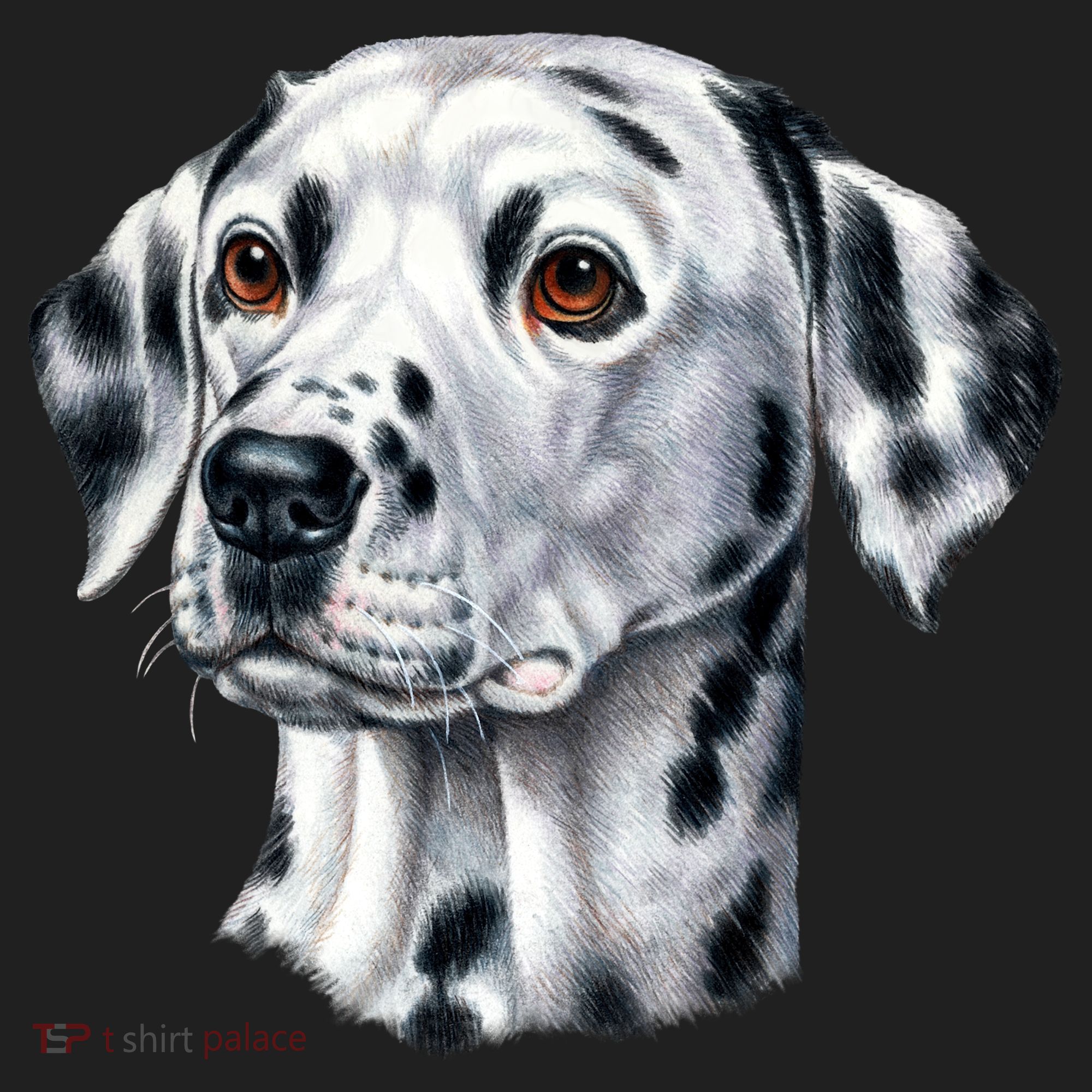 Dalmatian Face Women's Sweatshirt