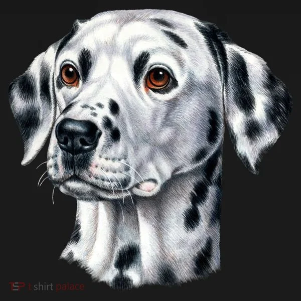 Dalmatian Face Long Sleeve Shirt