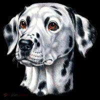 Dalmatian Face Pajama Set thumb 2