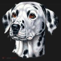 Dalmatian Face Women's Hoodie thumb 2