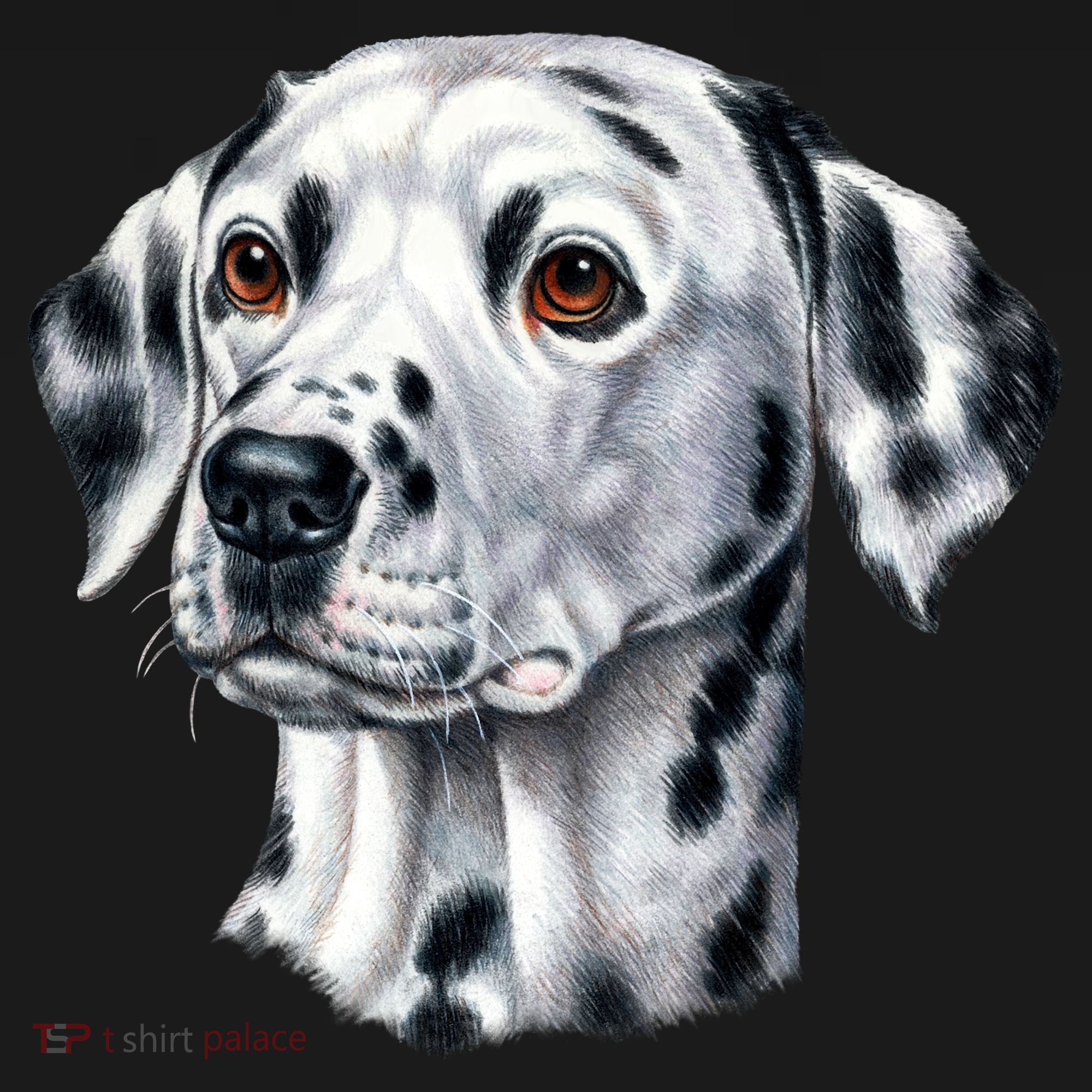 Dalmatian Face Women's T-Shirt
