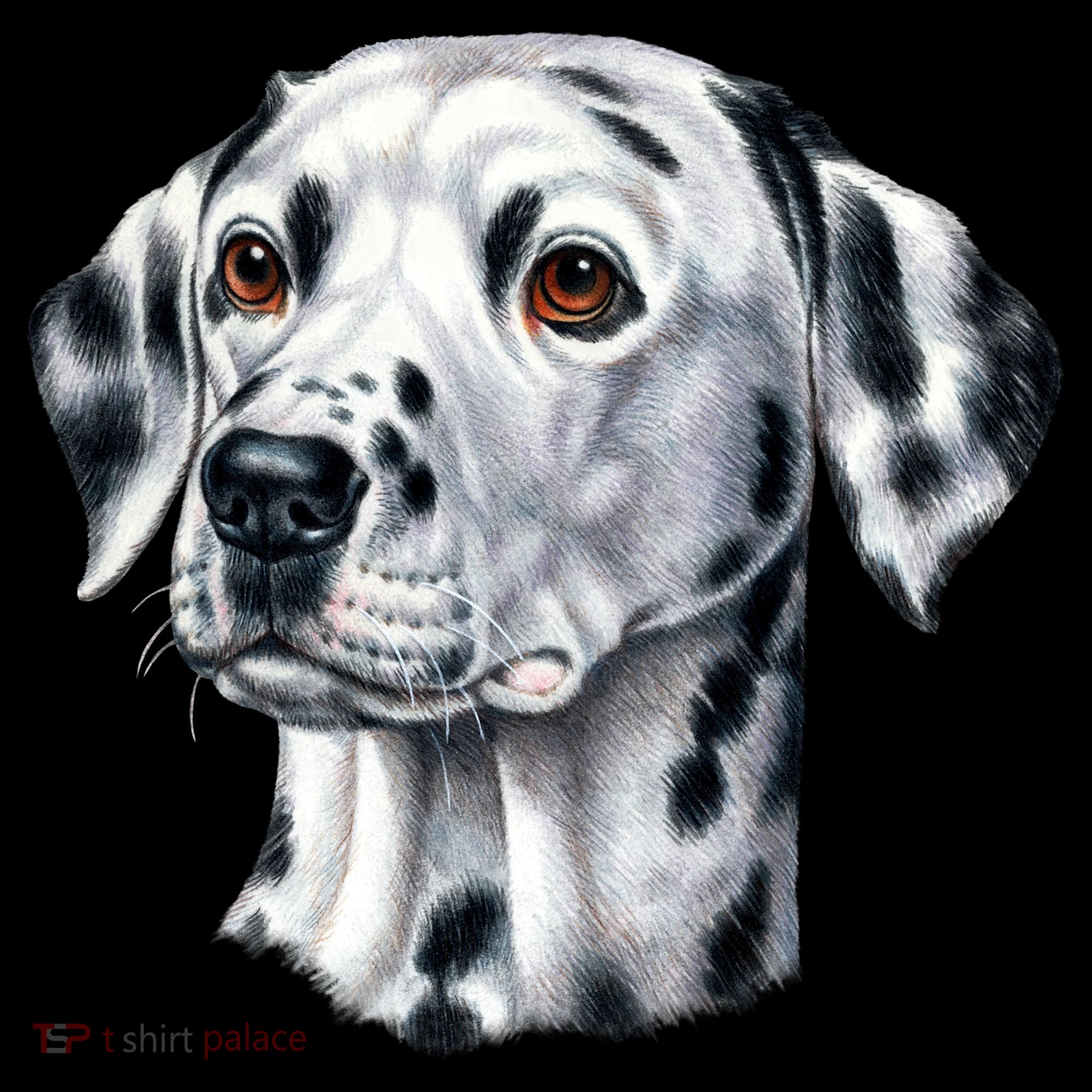 Dalmatian Face Kids Sweatshirt